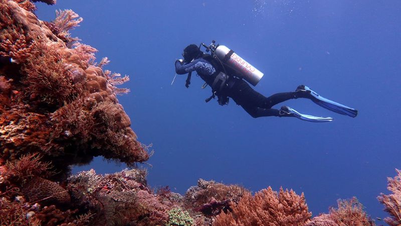 Ilustrasi penyelam scuba di Pulau Alor. (Foto: IST)
