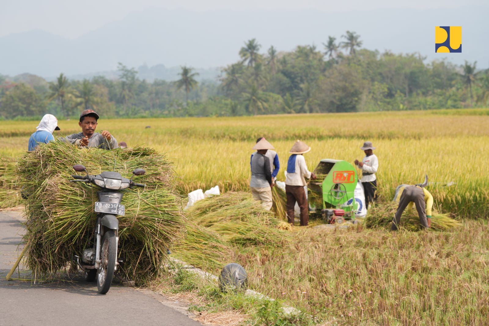 Para petani tengah bekerja di sawah dengan pemanfaatan Bendungan Sermo di Kulon Progo. (Dok Kementerian PU)