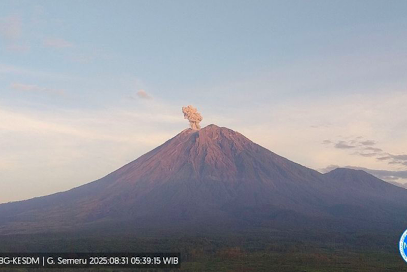 Gunung Semeru erupsi dengan letusan setinggi 800 meter di atas puncak pada Minggu (31/8/2025). (Dok. Antara)
