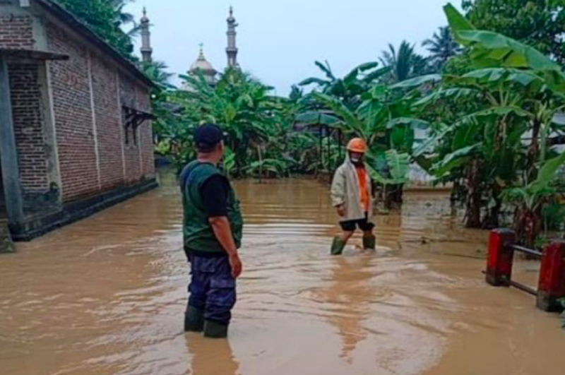 Petugas BPBD Kabupaten Cilacap mengecek genangan banjir di Desa Buntu, Kecamatan Kroya, Cilacap, Jawa Tengah, Kamis (11/9/2025). (Dok. Antara)