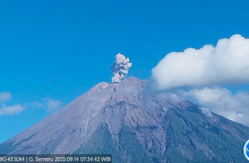 Gunung Semeru erupsi dengan tinggi letusan 700 meter di atas puncak pada Minggu (14/9/2025) (Dok. Antara)