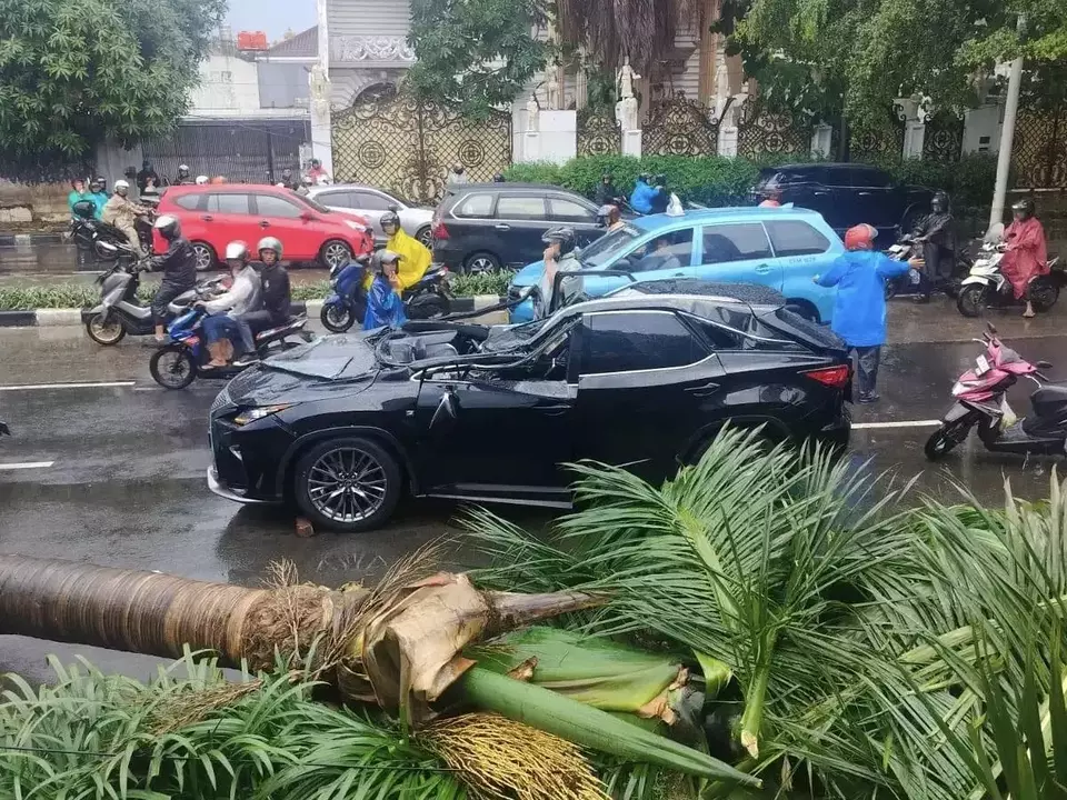 Cegah Insiden Lagi, Pemprov Jakarta Sangga 5.000 Pohon Rawan Tumbang