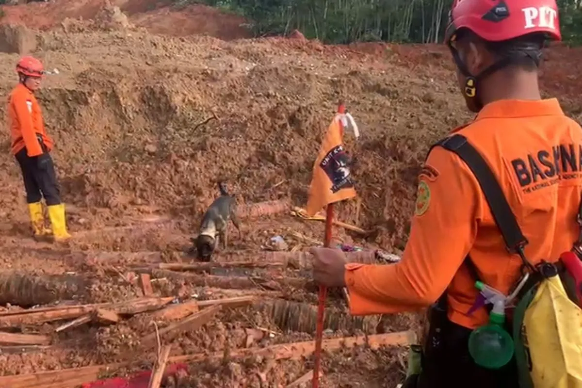 Tim SAR terus melakukan pencarian korban yang masih tertimbun material longsor, sejak Kamis (13/11/2025). (dok.BPBD Cilacap)