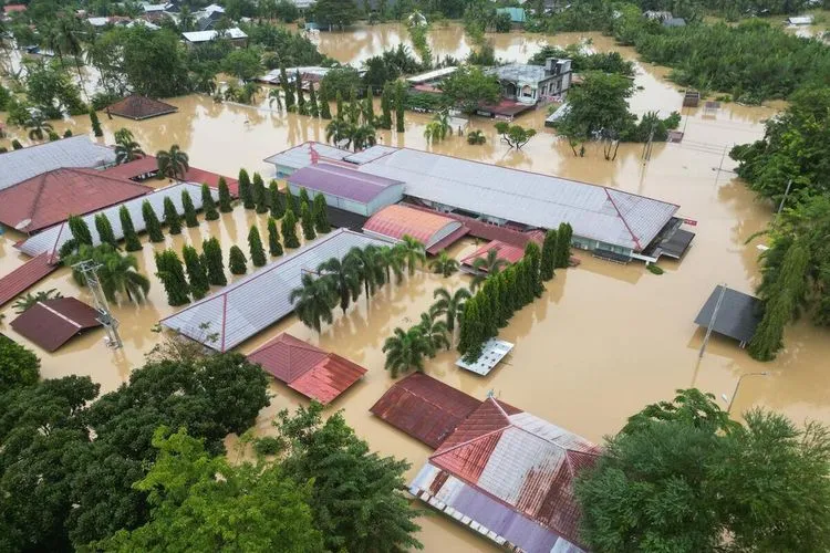 Diduga Biang Kerok Banjir Bandang Sumatera, KLH Cabut Persetujuan Lingkungan 28 Perusahaan