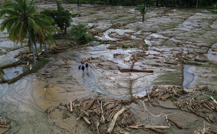Salah satu sawah yang rusak akibat banjir bandang di Sumatera. (dok.Antara)