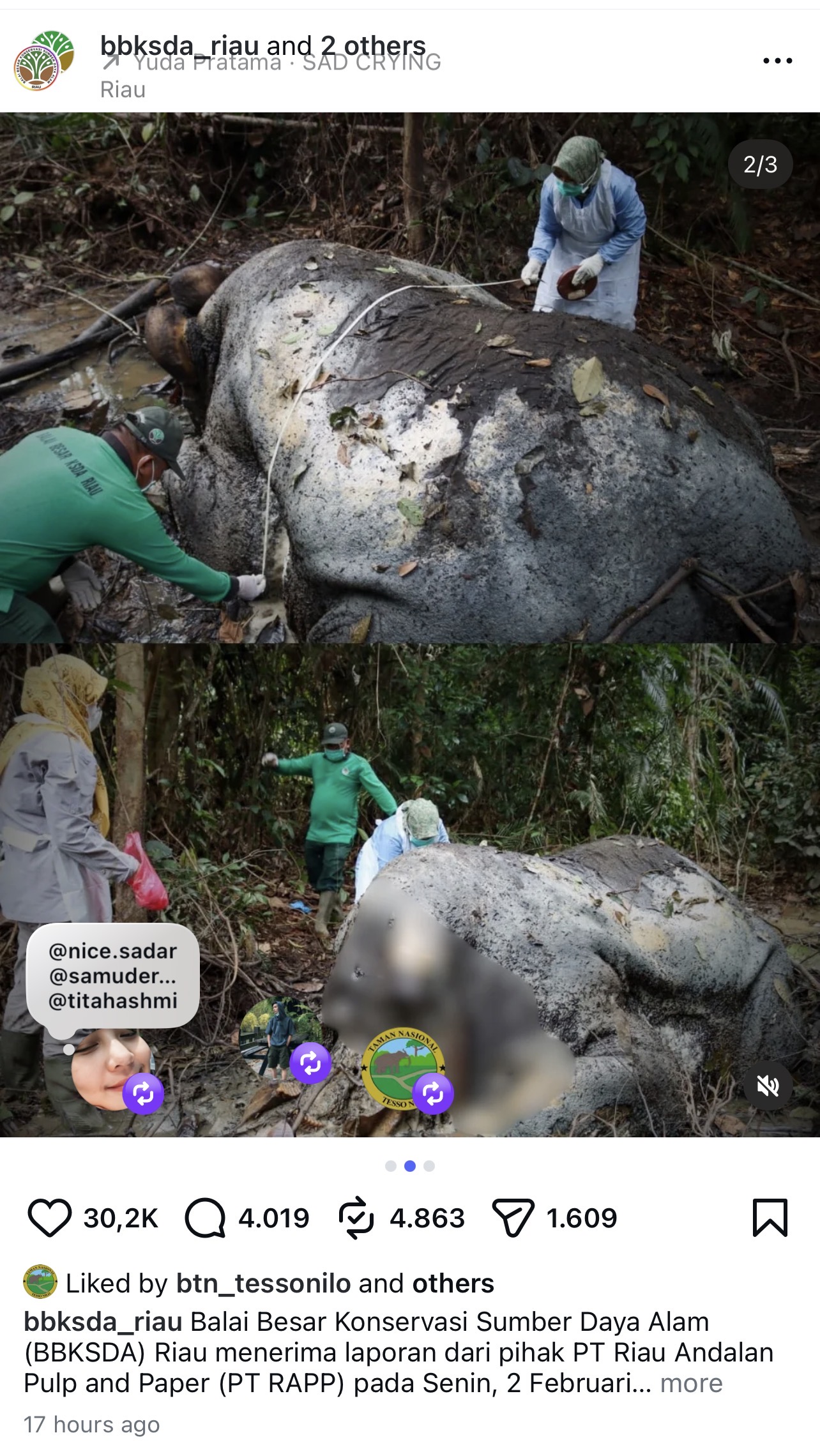 Bangkai gajah tanpa kepala yang ditemukan warga di Kecamatan Ukui, Kabupaten Pelalawan, Riau. (tangkapan layar Instagram @bbksda_riau) 