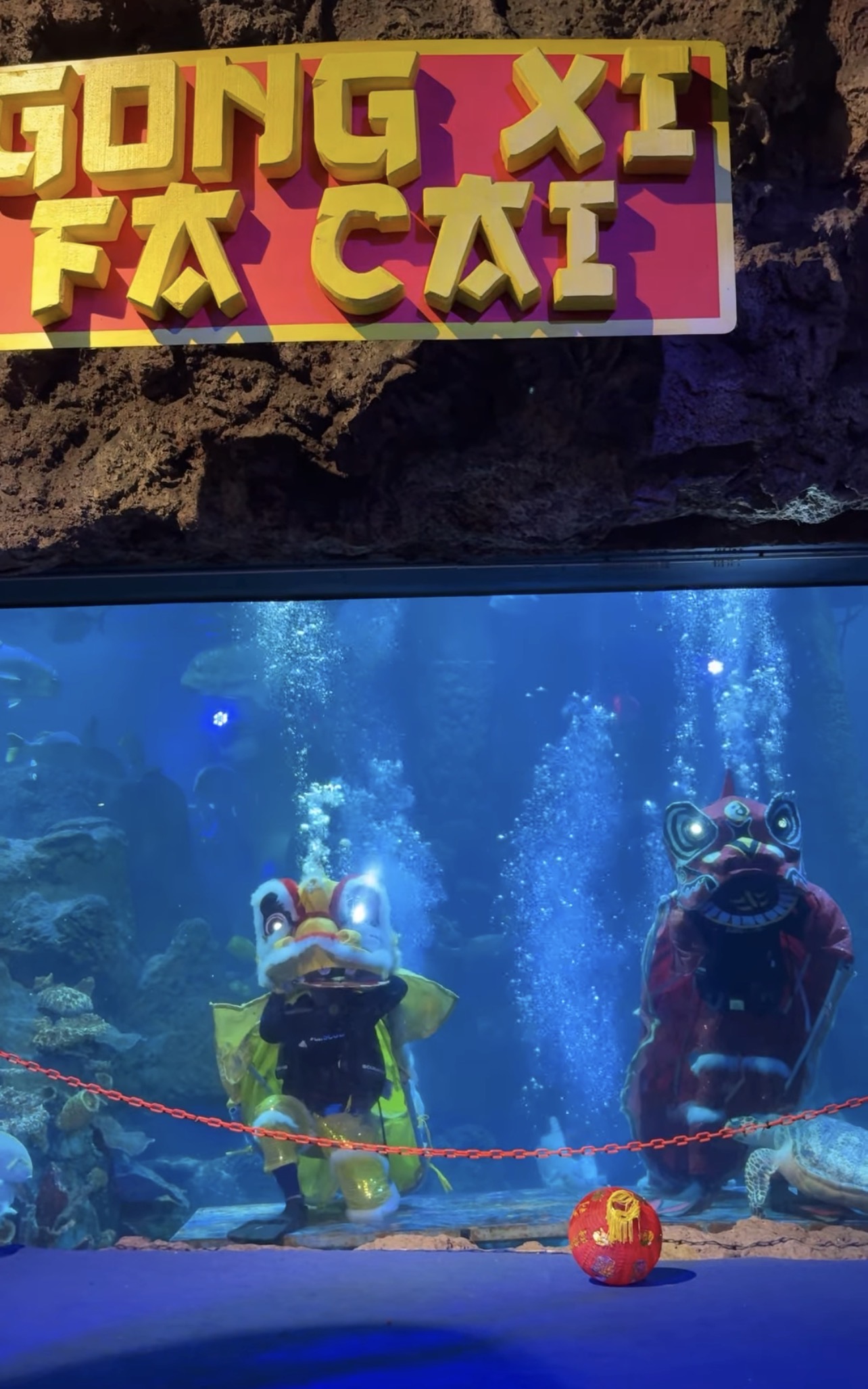 Atraksi barongsai di dalam laut di Seaworld Ancol Jakarta. (tangkapan layar Instagram @ancoltamanimpian) 