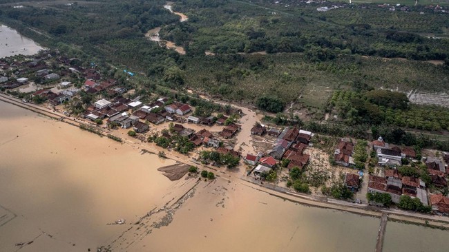 Areal persawahan di Demak luluh lantak usai Sungai Tuntang di Demak jebol. (Antara)