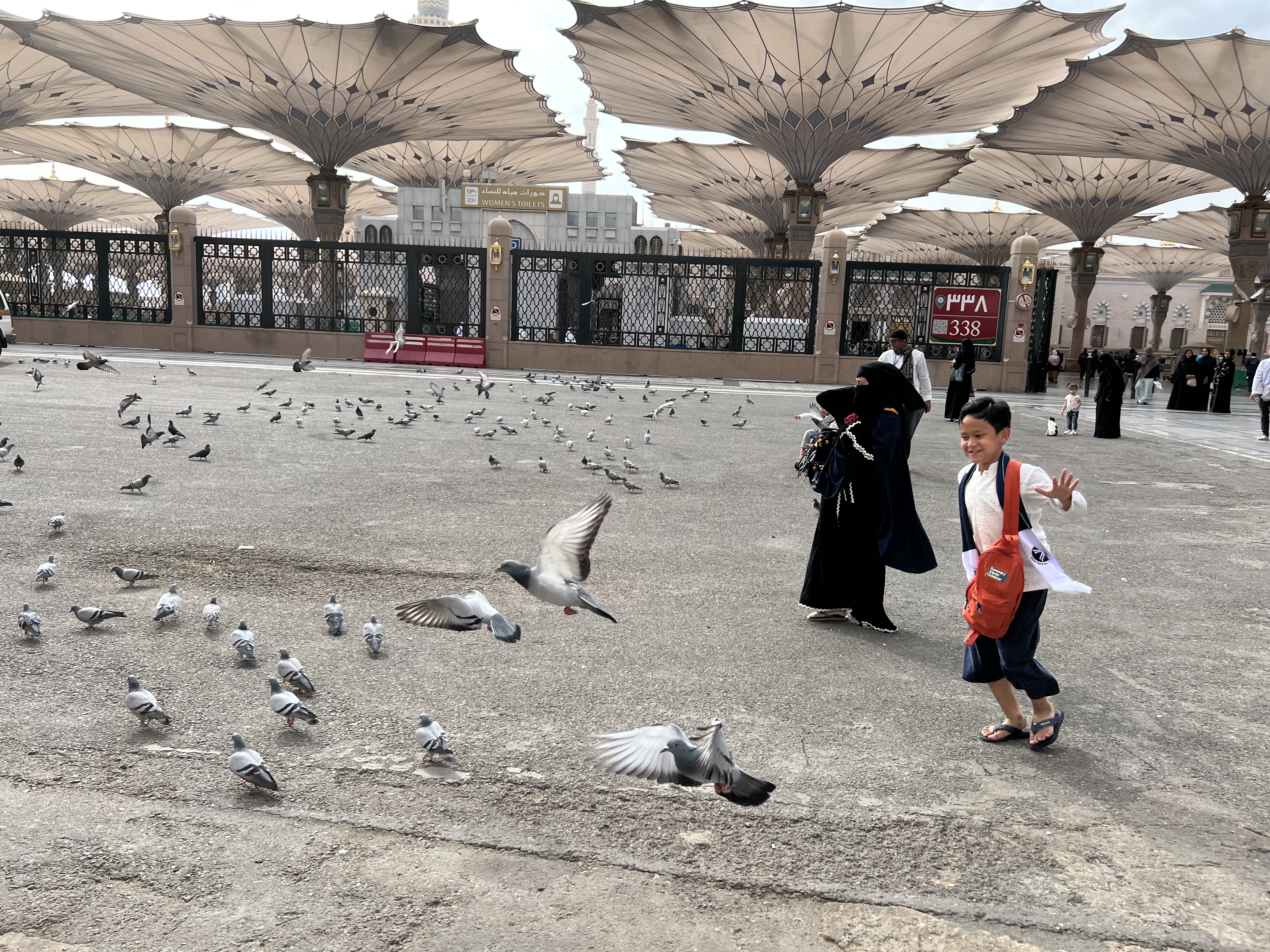 Seorang anak bermain bersama burung merpati di depan Masjid Nabawi, Arab Saudi. (Foto : Vita/ Warta Lentera) 