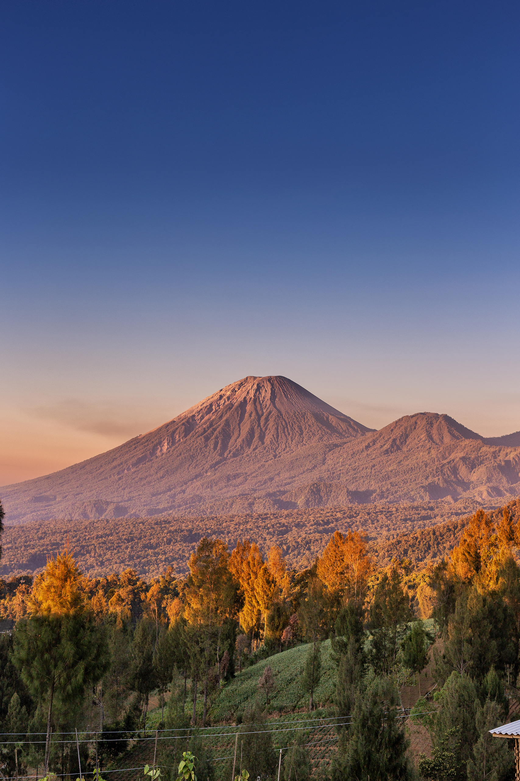 Tampak indah pemandangan gunung Semeru. (dok wikipedia) 