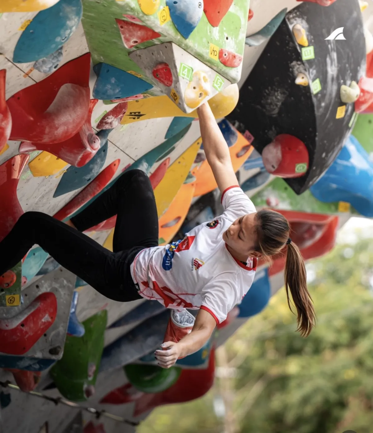 Tampilan atlet putri dalam cabang olahraga panjat tebing di Asian Games Aichi-Nagoya 2026, Jepang. (dok Instagram @fpti_official)