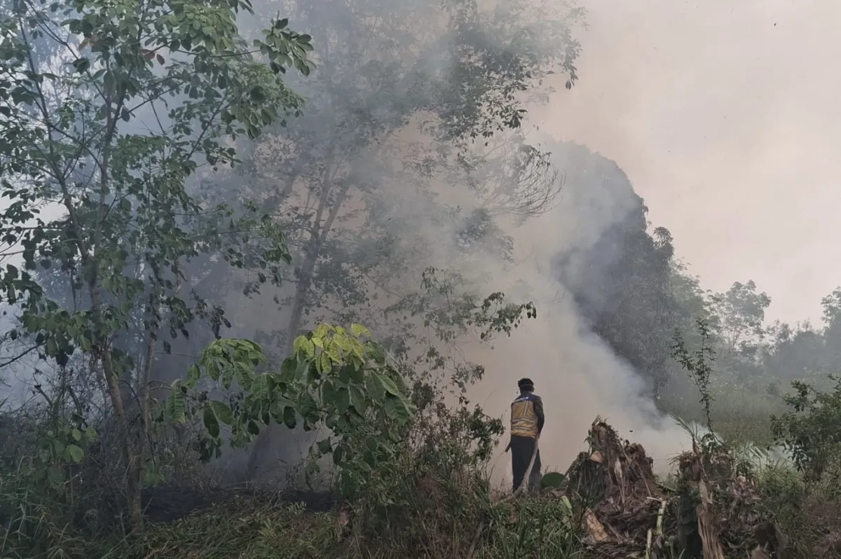 Tampak petugas Balai Wilayah Sungai (BWS) Kalimantan II Palangkaraya tengah berupaya memadamkan api. (dok Warta Lentera)